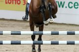 Baltic Horse Show